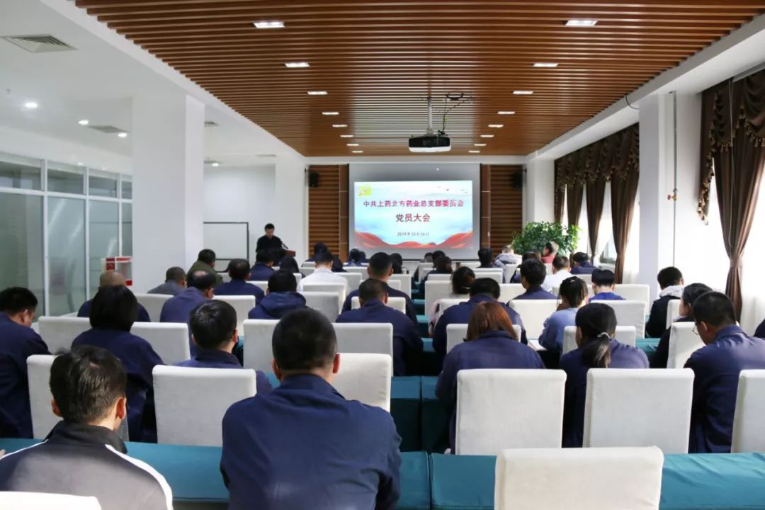 上藥北方藥業黨總支扎實開展主題教育推動企業高質量發展