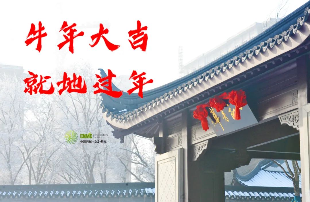 【網絡中國節·春節】春節的正確打開方式