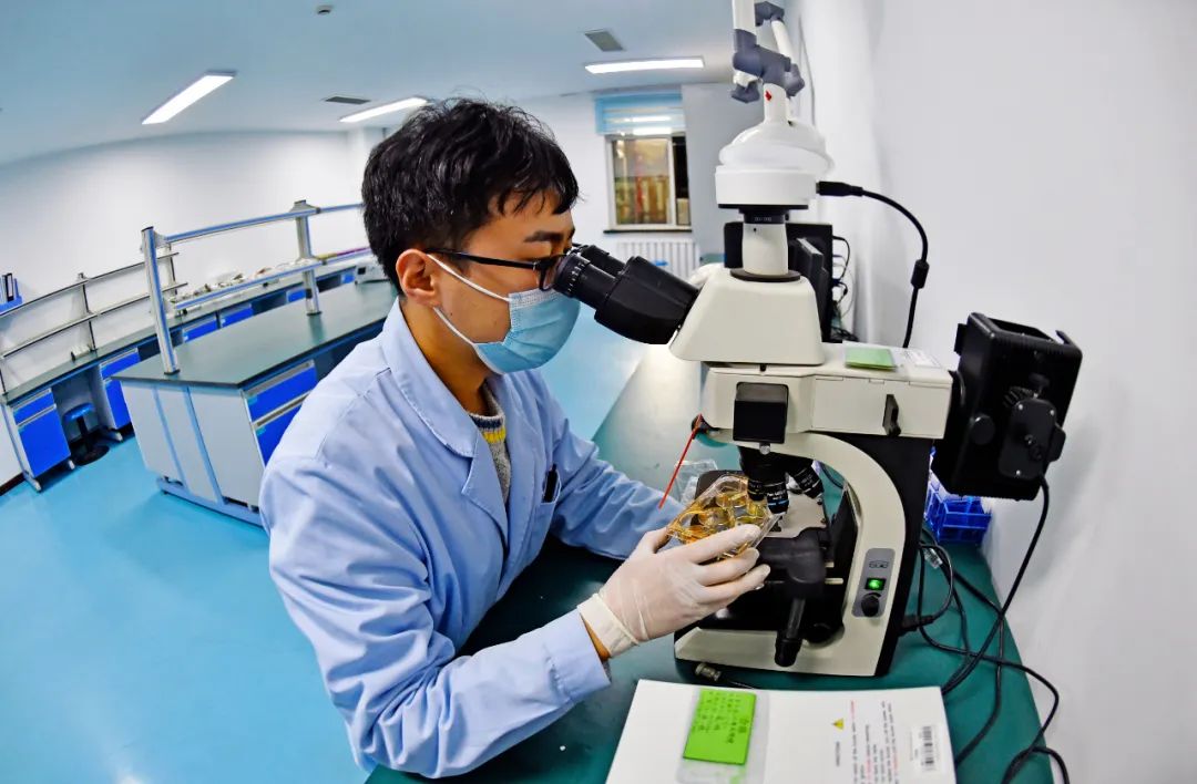 【瞪羚企業巡禮】遼寧千一內外兼修 加速度成就領跑者——走進遼寧千一測試評價科技發展有限公司