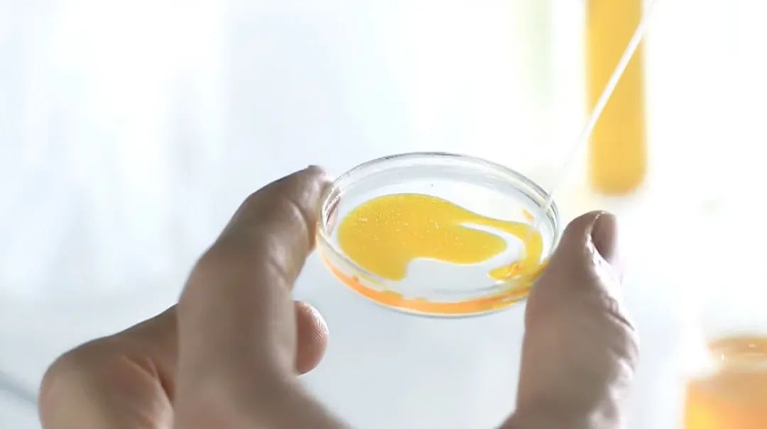 【本溪日報】每一次起跳都離不開研發與科創助跑——從遼寧愛爾創生物材料有限公司發展看高新區瞪羚企業成長要素