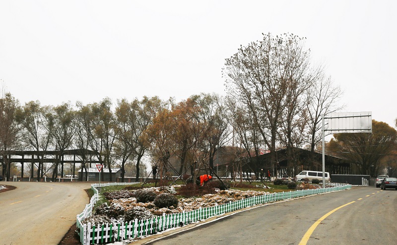 高新區入冬種樹忙