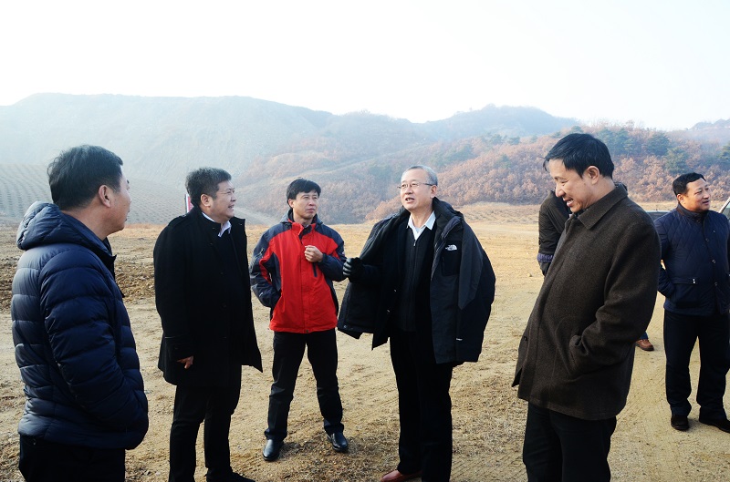 高新區青山工程閉坑礦山生態治理見成效