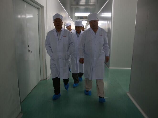 我市部分黨代表就在穩增長中如何發揮堡壘作用爭當模范先鋒來高新區進行視察調研