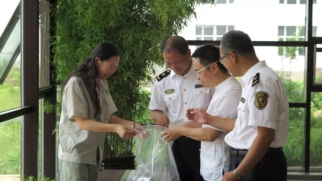 我市中藥材首次出口法國