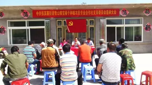 張其寨街道成立高新區首個農民專業合作社黨支部