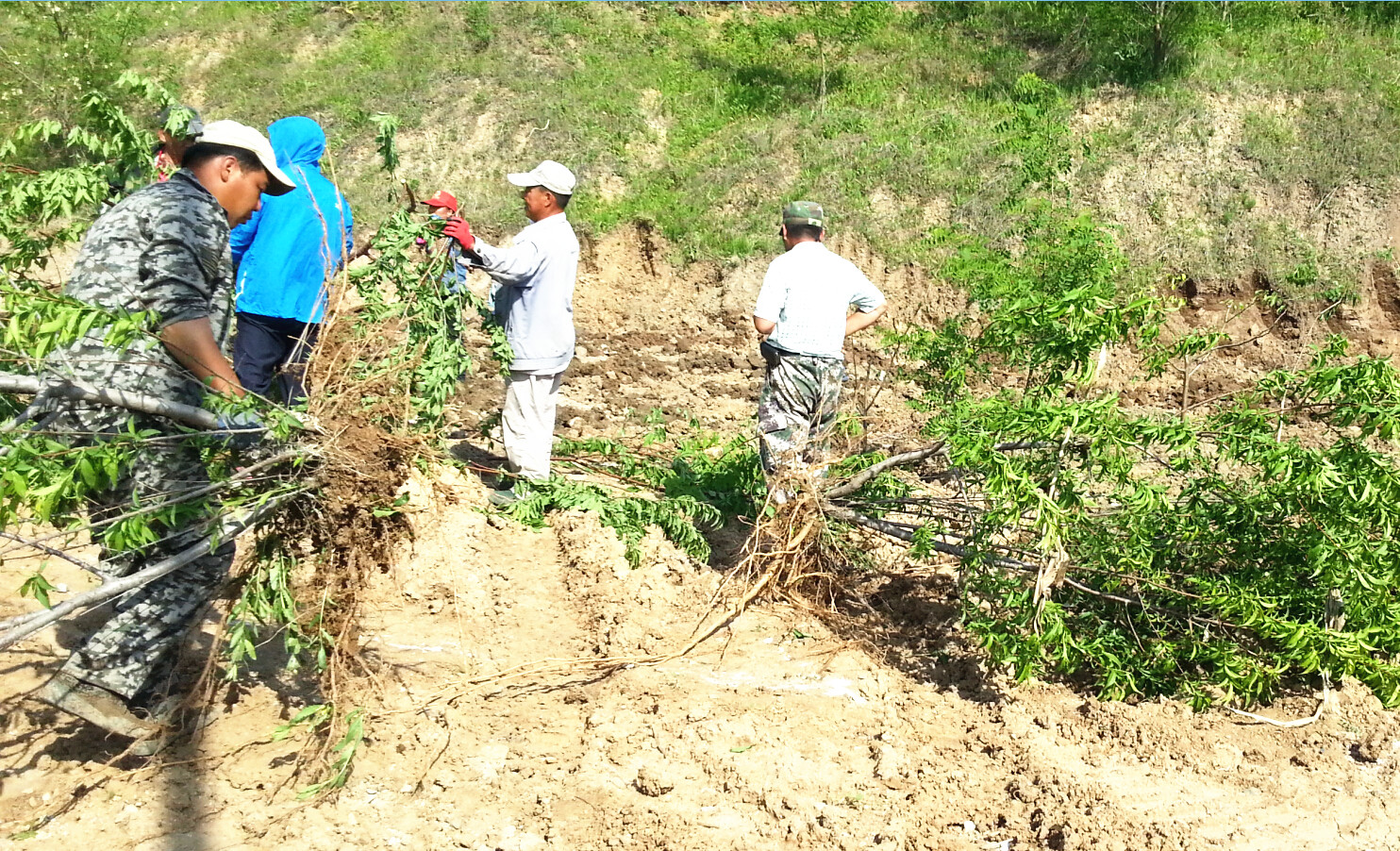 高新區提升孫思邈大街景觀環境
