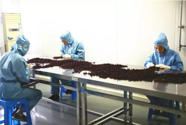 大石藥業(yè)積極打開(kāi)國(guó)際市場(chǎng)