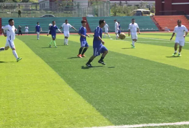 高新區(qū)足球聯(lián)賽圓滿落幕