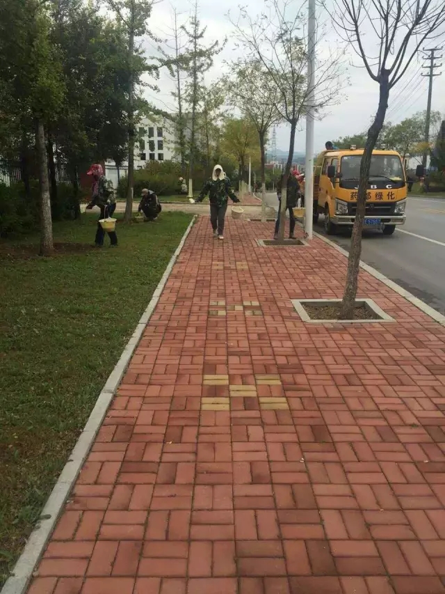 高新區(qū)城管局開(kāi)展秋季樹(shù)木涂白工作