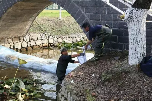 高新區(qū)管委會辦公園區(qū)內(nèi)荷花池清淤工作有序開展