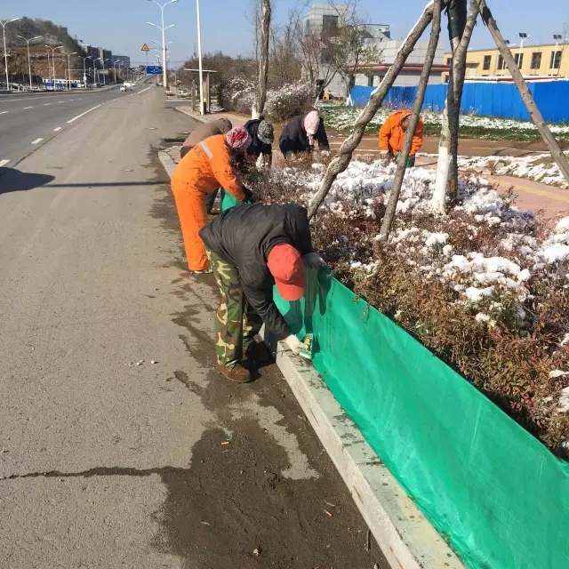 高新區(qū)為綠地穿上“防護(hù)衣”