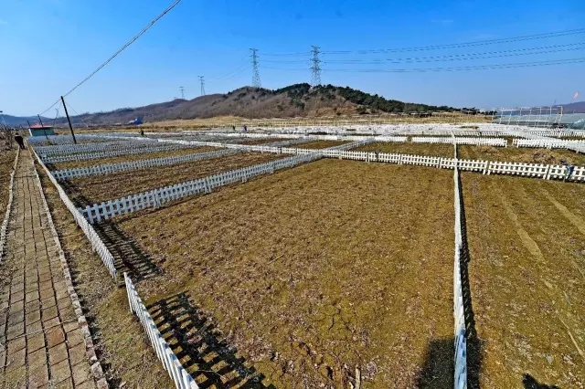 快樂農家小菜園“整裝待發”邀客來